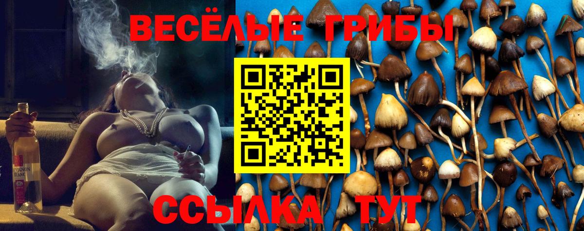 Полевской  Псилоцибиновые грибы Psilocybine cubensis  Вход с VPN  Галлюциногенные грибы Magic Shrooms 